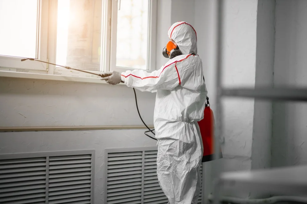 Professional mold remediation services in Woolwine, VA